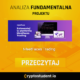 Formatka Analiza Fundamentalna 10