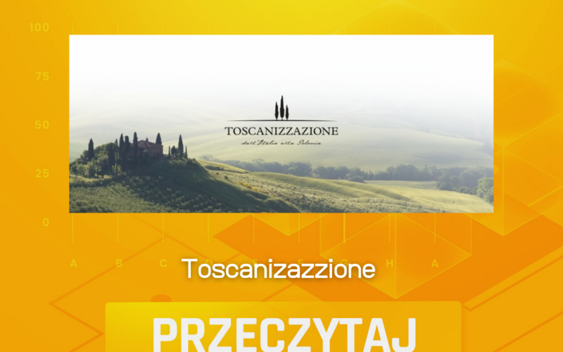 Formatka Analiza Fundamentalna 8